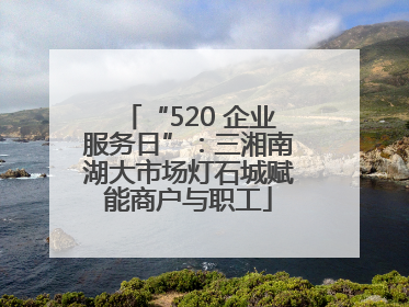 “520 企业服务日”：三湘南湖大市场灯石城赋能商户与职工