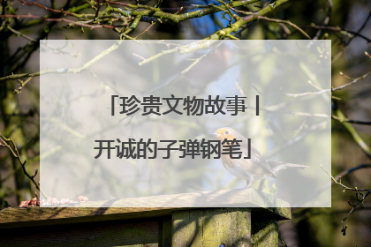 珍贵文物故事丨开诚的子弹钢笔