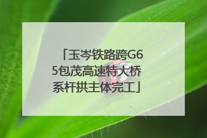 玉岑铁路跨G65包茂高速特大桥系杆拱主体完工