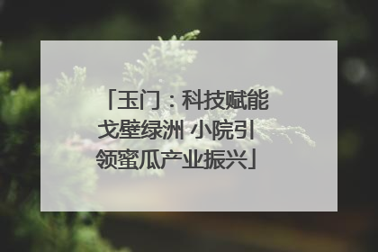 玉门：科技赋能戈壁绿洲 小院引领蜜瓜产业振兴