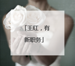 王红，有新职务