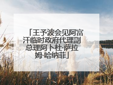 王予波会见阿富汗临时政府代理副总理阿卜杜·萨拉姆·哈纳菲