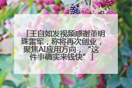 王自如发视频感谢董明珠雷军，称将再次创业，聚焦AI应用方向，“这件事确实来钱快”
