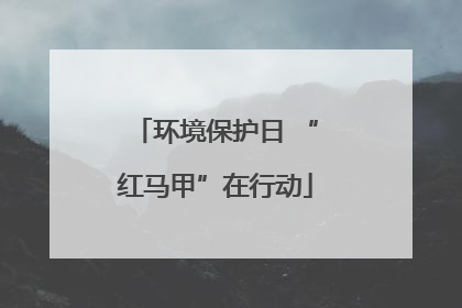 环境保护日 “红马甲”在行动