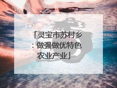 灵宝市苏村乡：做强做优特色农业产业