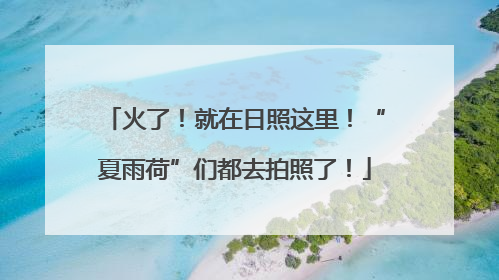 火了！就在日照这里！“夏雨荷”们都去拍照了！