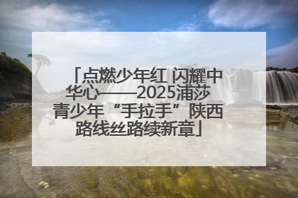 点燃少年红 闪耀中华心——2025浦莎青少年“手拉手”陕西路线丝路续新章