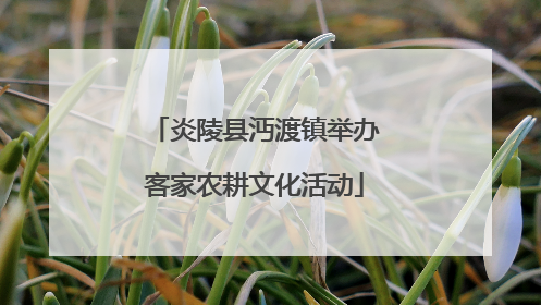 炎陵县沔渡镇举办客家农耕文化活动