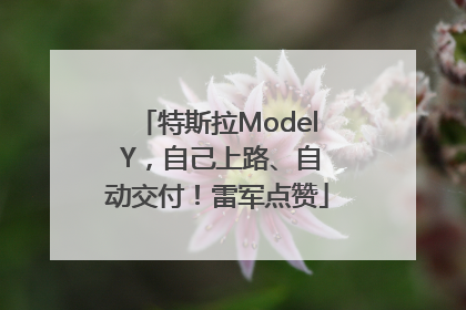 特斯拉Model Y，自己上路、自动交付！雷军点赞