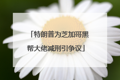 特朗普为芝加哥黑帮大佬减刑引争议