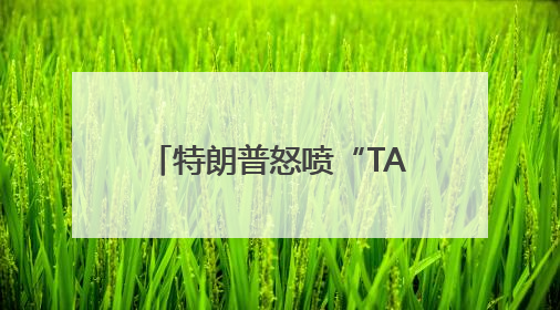 特朗普怒喷“TACO交易”：不是胆怯，是谈判！