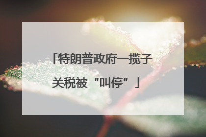 特朗普政府一揽子关税被“叫停”