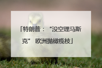 特朗普：“没空理马斯克” 欧洲抛橄榄枝