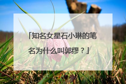 知名女星石小琳的笔名为什么叫郭缪？