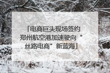 电商巨头现场签约 郑州航空港加速驶向“丝路电商”新蓝海