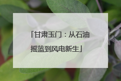 甘肃玉门：从石油摇篮到风电新生