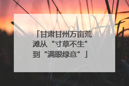 甘肃甘州万亩荒滩从“寸草不生”到“满眼绿意”