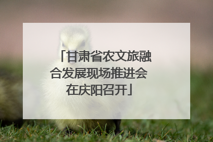 甘肃省农文旅融合发展现场推进会在庆阳召开