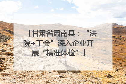 甘肃省肃南县：“法院+工会”深入企业开展“精准体检”