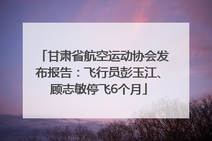 甘肃省航空运动协会发布报告：飞行员彭玉江、顾志敏停飞6个月