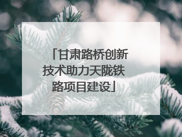 甘肃路桥创新技术助力天陇铁路项目建设