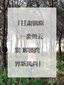 甘肃镇原：一袭剪云裳 解锁跨界新风尚