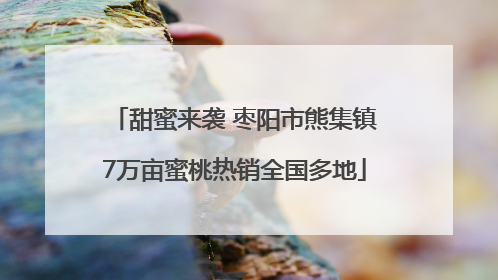 甜蜜来袭 枣阳市熊集镇7万亩蜜桃热销全国多地