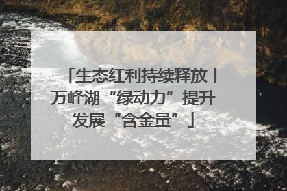 生态红利持续释放丨万峰湖“绿动力”提升发展“含金量”