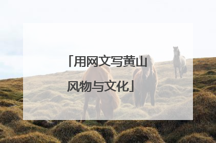 用网文写黄山风物与文化