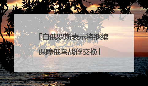 白俄罗斯表示将继续保障俄乌战俘交换