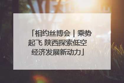 相约丝博会｜乘势起飞 陕西探索低空经济发展新动力