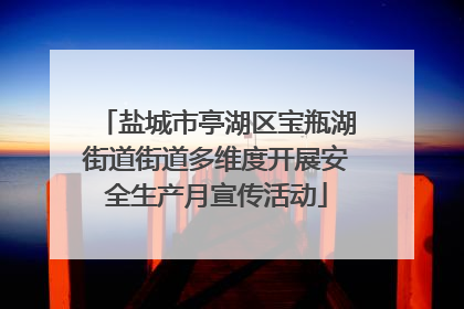 盐城市亭湖区宝瓶湖街道街道多维度开展安全生产月宣传活动