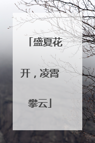 盛夏花开，凌霄攀云