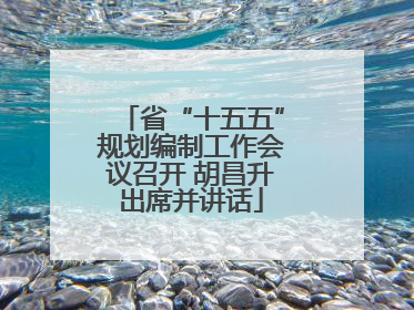 省“十五五”规划编制工作会议召开 胡昌升出席并讲话