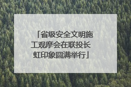省级安全文明施工观摩会在联投长虹印象圆满举行
