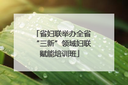 省妇联举办全省“三新”领域妇联赋能培训班