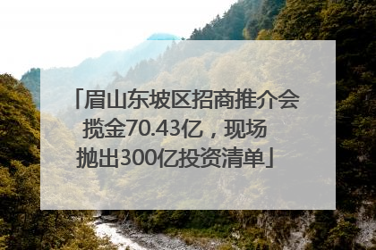 眉山东坡区招商推介会揽金70.43亿，现场抛出300亿投资清单