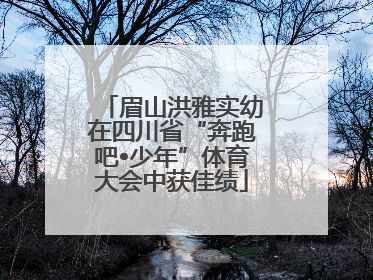 眉山洪雅实幼在四川省“奔跑吧•少年”体育大会中获佳绩