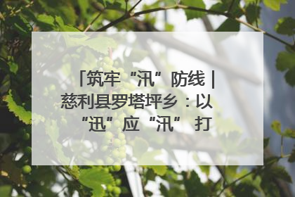 筑牢“汛”防线｜慈利县罗塔坪乡：以“迅”应“汛” 打赢暴雨防御战
