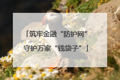 筑牢金融“防护网” 守护万家“钱袋子”