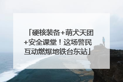 硬核装备+萌犬天团+安全课堂！这场警民互动燃爆地铁台东站