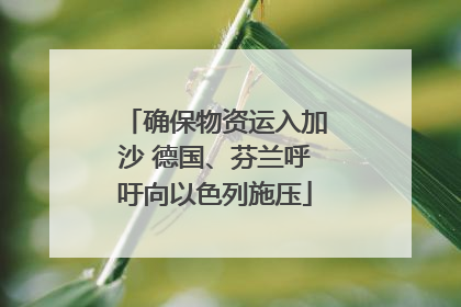 确保物资运入加沙 德国、芬兰呼吁向以色列施压
