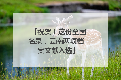 祝贺！这份全国名录，云南两项档案文献入选