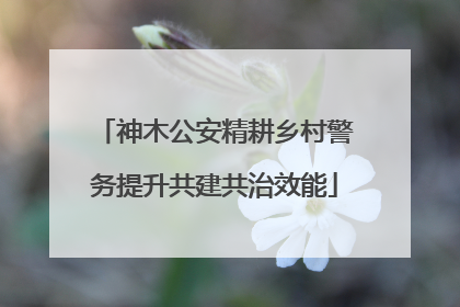 神木公安精耕乡村警务提升共建共治效能