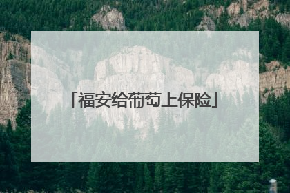 福安给葡萄上保险