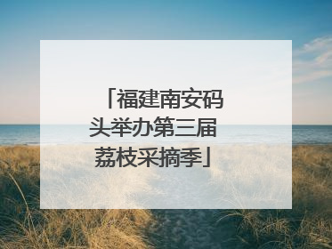 福建南安码头举办第三届荔枝采摘季