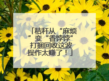 秸秆从“麻烦”变“香饽饽” 打捆回收这波操作太赚了！