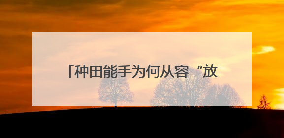 种田能手为何从容“放手”（三夏进行时）