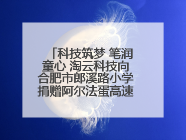 科技筑梦 笔润童心 淘云科技向合肥市郎溪路小学捐赠阿尔法蛋高速词典笔
