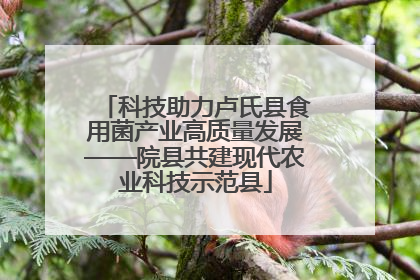 科技助力卢氏县食用菌产业高质量发展——院县共建现代农业科技示范县